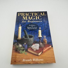 Practical Magic for Beginners Brandy Williams 2005 1st Ed 3rd Print picture