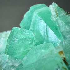 434ct Rare Gemmy Emerald Crystal Cluster on Matrix from Chitral, PAKISTAN picture
