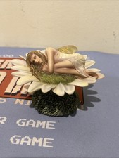 The Fairy Site Daisy Rachael Tallamy 2010 picture