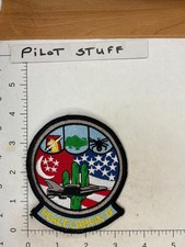 USAF PEACE CARVIN II SQUADRON PATCH picture