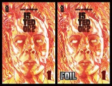 IS TED OKAY? #1 DAVE CHISHOLM REGULAR & HOLOFOIL VARIANT (#2/50) COVERS SET NM picture