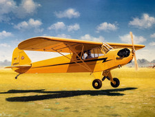 Piper J-3 Cub, Solo Flight, Signed Aviation Print 1994-Damaged- picture