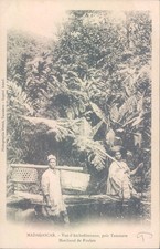 MADAGASCAR Amboditonono chicken seller 1900s litho PC picture