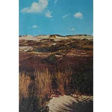 Dunes Colorful Cape Cod MA Postcard picture