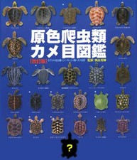 Yujin Color Reptile Turtle Encyclopedia Complete 25 Gashapon Capsule Toys 2002 picture