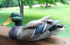 Roger Desjardins mallard duck hand painted nwtf turkey federation # 376/2200 picture