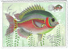 Postcard Glitter Tausendschoen Tropical Fish Stamp picture