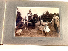 c1890s Photo Album California Peach Orchards Eureka Springs AR Wallingford VT picture