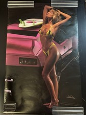Original 1990 Pantera Dream CINDY MARGOLIS Vintage Pinup Poster picture
