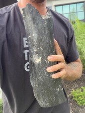 HUGE MASTADON LEG BONE FOSSIL OR OTHER MEGAFAUNA ICE AGE MAMMAL BONE picture