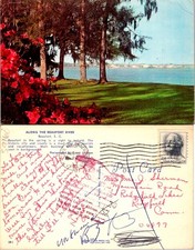 Beaufort, SC Along The River Spring Time Historic City VacationPostcard 59160 picture