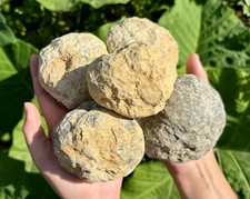 JUMBO Break Your Own Geodes Wholesale Lots - Unopened Moroccan Quartz Crystals picture