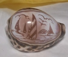 Key Largo Tiger Cowrie Hand Carved 3