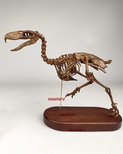 Jushi Studio Phorusrhacos 1/10 Collectible Animal Figurine Limited Model Statues picture