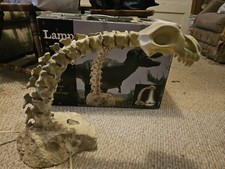 Vintage Lampasaurus Lamp 1999 Salton picture