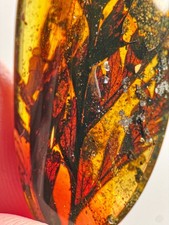 STUNNING LEAVES inclusion in Burmese / Burmite amber fossil / 100% genuine amber picture