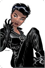Catwoman Vol. 1: Trail of the Catwoman picture
