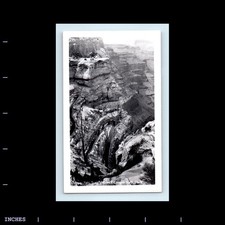 Old Vintage Photo GRAND CANYON TRAIL LANDSCAPE SOUVENIR PRINT picture