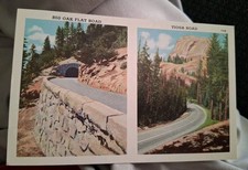 Big Oak Flat Road and Tioga Road California Postcard   picture