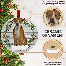 E&S Pets Pit Bull Ceramic Ornament - DIY Personalizable - Dog Gifts picture