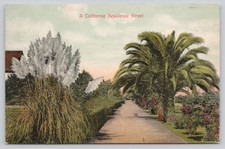 Vintage California Residence Street Postcard Los Angeles Palm Trees German Print picture