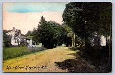 K57/ King Ferry New York Postcard c1910 Main Street Homes 432 picture