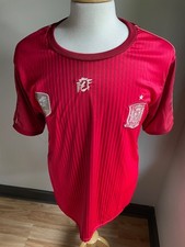 Spain World Champions Jersey 2010 Mens Officially Licensed picture