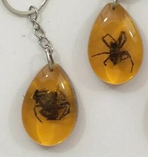 DEFECTIVE Real Spider Key Chain in Replica Amber - 2 PACK picture