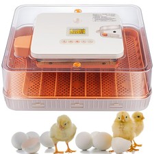 56 Egg Incubator, Fully Automatic Egg Turner & Humidity Control, High Hatch R... picture