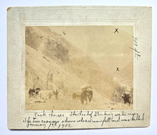 Antique Photograph on Board 
