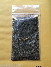 Buy our super Premium GOLD sluice paydirt concentrates 2 ounces picture