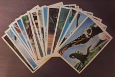 Vintage 1964 Mothra vs Godzilla Japanese Bromide Cards Lot of 18 Toho Kaiju picture