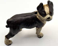 Vintage 100 year old Boston Terrier Cast Metal Coin Bank  Dog Figurine picture