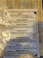 Egyptian Papyrus Art Paintings Lot w/ Authenticity/Guarantee Certificates picture