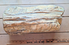 Huge 55 pound Petrified Wood or Rock picture