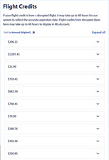 Southwest Airlines $700-$1k Transferable Flight Credit - Fast Transfer picture