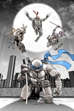 TEENAGE MUTANT NINJA TURTLES #20 300th ISSUE SPECIAL - STAN YAK COVER B FOIL picture