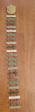 Order of DeMolay Badge Ribbon Pin & 22 Enamel Merit Bars Masonic Merit Award picture