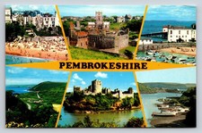 Pembrokeshire Wales Multi-View Postcard Tenby St Davids Pembroke Castle picture