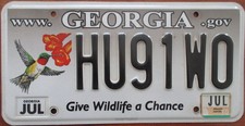 2010 GEORGIA WILDLIFE CONSERVATION LICENSE PLATE # HU91WO HUMMINGBIRD picture