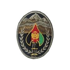 Combat Service Identification Badge (CSIB)  Special Operations Joint Task PATCH picture