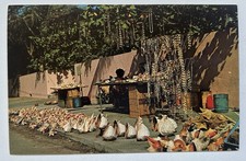 Florida Keys Conch Shells Street Vendor Display Marathon FL Postcard B1 picture