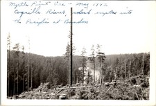 May 1942 Coquille River Logging Oregon Clear-Cut Stumps Silver Gelatin Photo picture