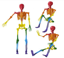 NEW JOYIN 5 ft. 6 in. Posable Life Size Rainbow Skeleton w Realistic Bones PRIDE picture