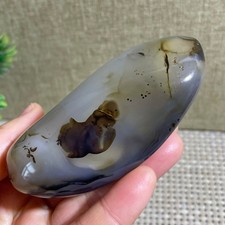 TOP  176G  Polished Aquatic Plants Agate Crystal Madagascar picture
