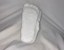 Bigfoot, Sasquatch, Patterson Gimlin Foot Casting, Contains Real Artifacts, Book picture