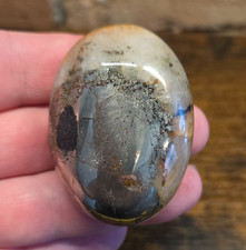 Lions Gate Quartz PalmStone, Rare Find,Golden Healer Quartz And Pyrite, L#s6 picture