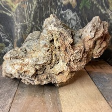 Missouri  Natural  Fossilized Coral Stone picture
