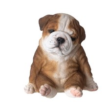 SITTING BULLDOG PUPPY - 6 INCH picture