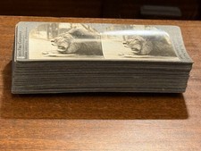 Lot of 25 Keystone ANIMAL views picture